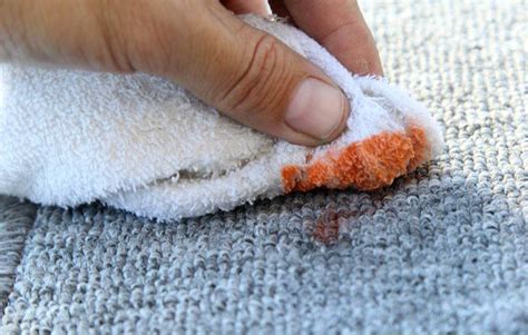 How To Clean Carpet Stain – Recommendations And Tips - Pure Airways