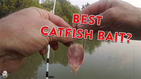 How To Catch Catfish From The Bank | Catfishing Bait, Rigs, & Tips! - YouTube