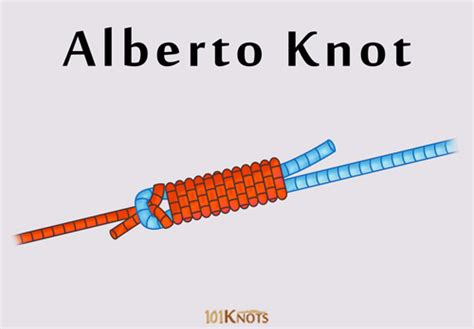 How to Tie an Alberto Knot (Modified Albright Knot)? Tips & Steps