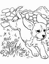 Beagle Coloring Pages  Best For Kids sketch template