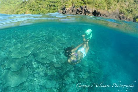 Fiji Snorkeling