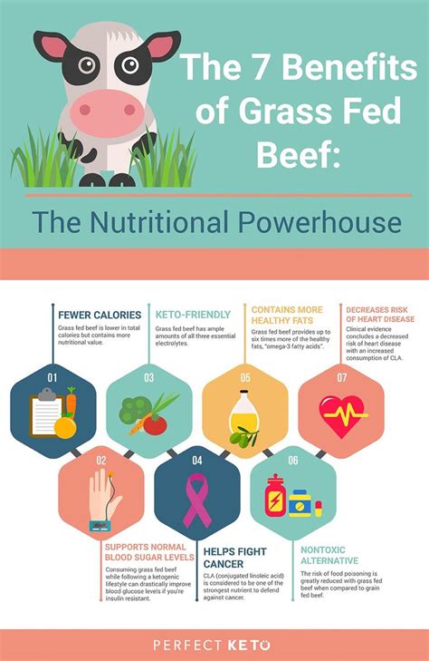 The 7 Benefits of Grass Fed Beef: The Nutritional Powerhouse | Grass fed beef, Low carb chili ...