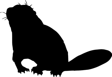 SVG > animal tail beaver teeth - Free SVG Image & Icon. | SVG Silh