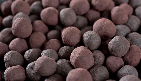 Iron Ore Pellet Market Projects 7.9% CAGR Surge in Demand Amidst a Booming Steel Industry ...