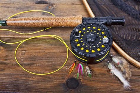 Fishing Reel Maintenance-Clean and Care Best Practices – Tight Lines ...