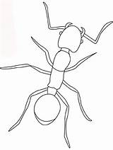 Free Printable Ant Coloring Pages For Kids sketch template