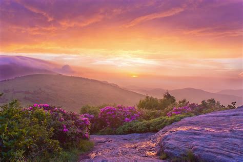 Summer in the Blue Ridge Mountains, North Carolina - David Culp Photography - Photographic Tours