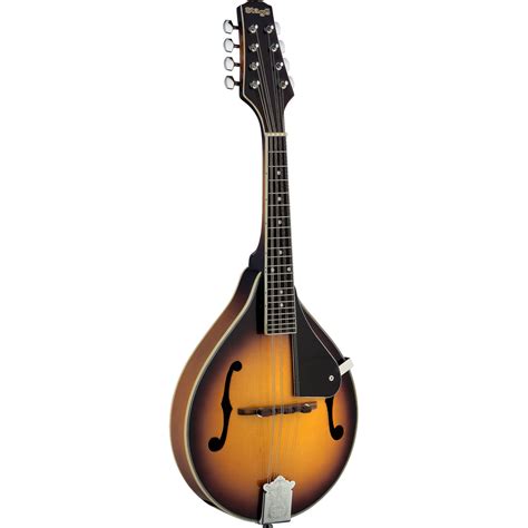 Stagg M40 S Bluegrass Mandolin with Solid Spruce Top, Goldburst ...