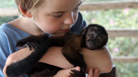 Baby monkeys, fishing for piranhas: Our family’s Amazon adventure - The Globe and Mail