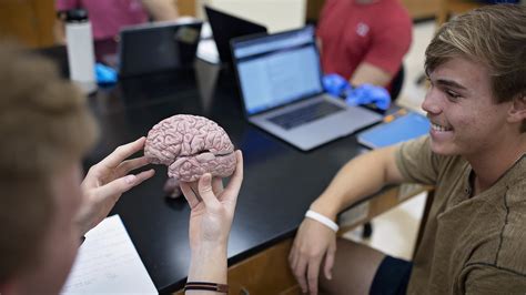 Interdisciplinary Neuroscience Major | Samford University