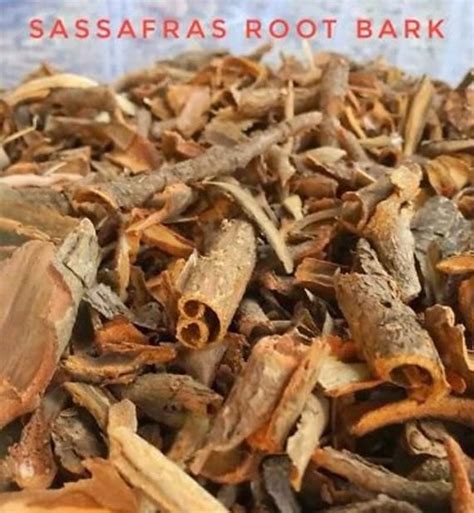 Sassafras root bark fresh approximately 4 lbs.this product is not fda approved and for ...