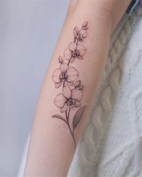 Details more than 77 orchid sketch tattoo best - seven.edu.vn