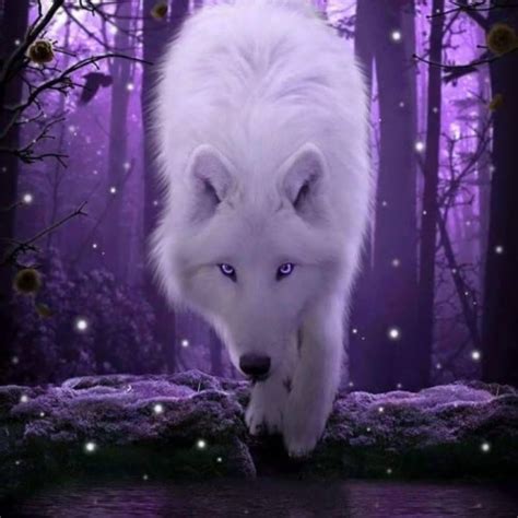 Purple - White Wolf With Purple Eyes (#369802) - HD Wallpaper ...