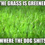 grass is greener Meme Generator - Imgflip