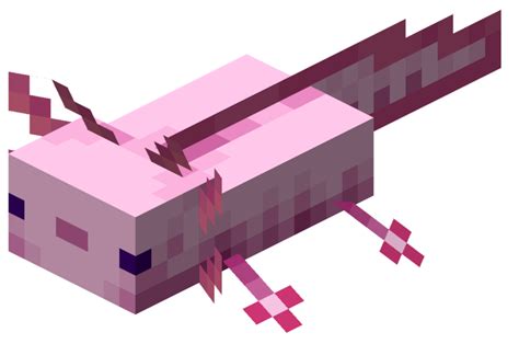 Axolotl Minecraft : adopter, reproduction, couleurs et comportement - Minecraft.fr