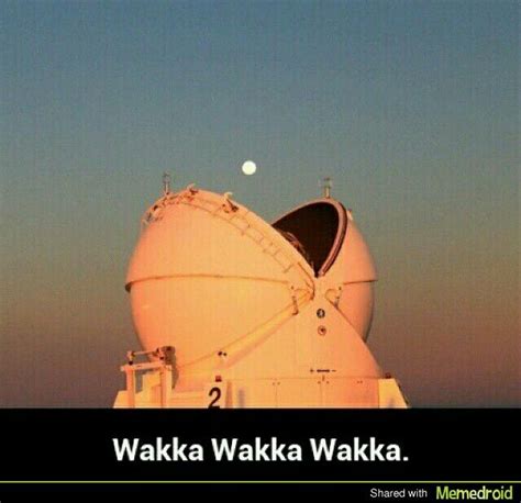 Wakka wakka wakka | Humor engraçado, Engraçado, Humor