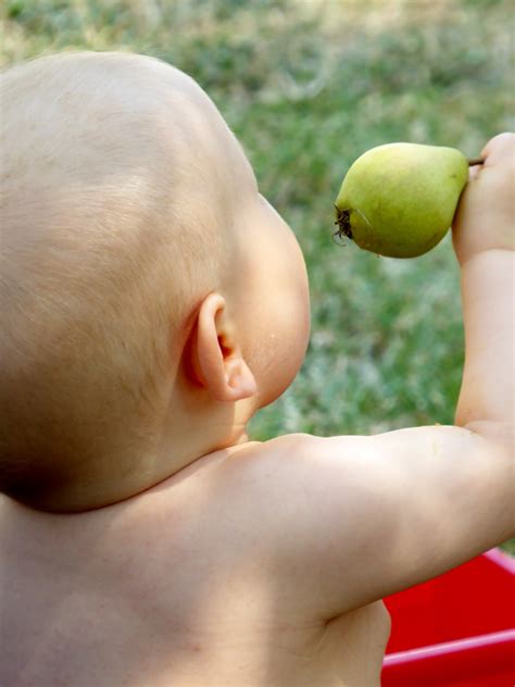 Free Images : hand, person, play, food, produce, baby, muscle, close up, nose, infant, skin ...