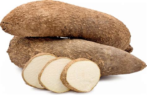 6 Interesting Yam Varieties - Agriculture Nigeria