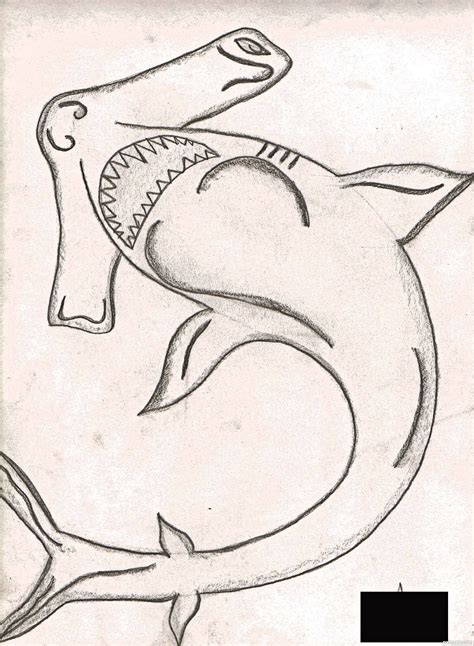 Sea Creature Drawing at GetDrawings | Free download