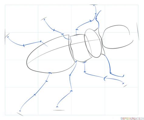 How to draw a stag beetle | Step by step Drawing tutorials | Drawing tutorial, Stag beetle ...