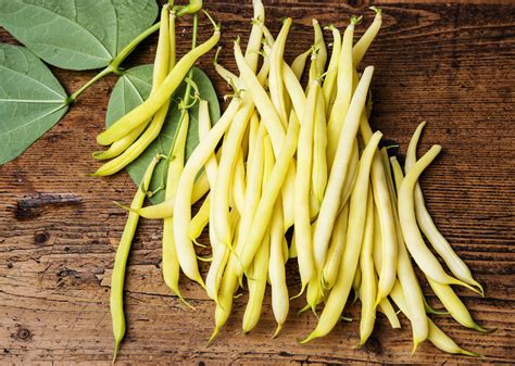 Yellow Wax Bush Bean Seeds Yellow Pencil Pod Beans 50 Seeds | Etsy in ...