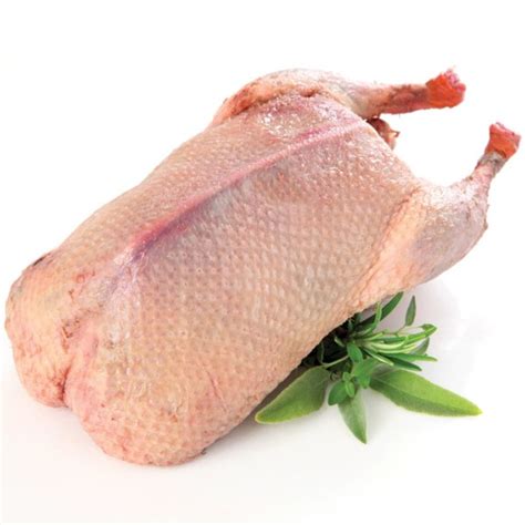 Nutritional value of duck meat for human health – The Poultry Guide