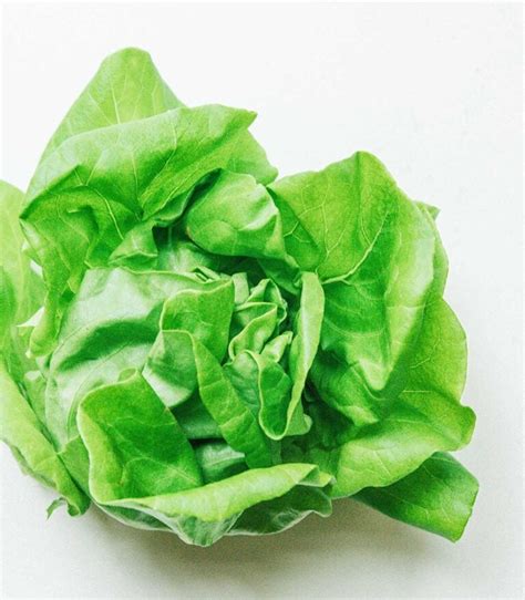 Butterhead Lettuce 101: What It Is & How To Use It | Live Eat Learn