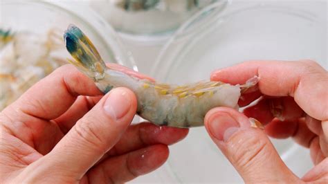 How To Clean Shrimp: A Step-By-Step Guide - IHSANPEDIA