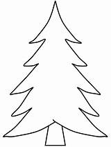 Printable Pine Tree Coloring Pages sketch template