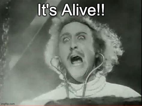 Young Frankenstein Memes - Imgflip