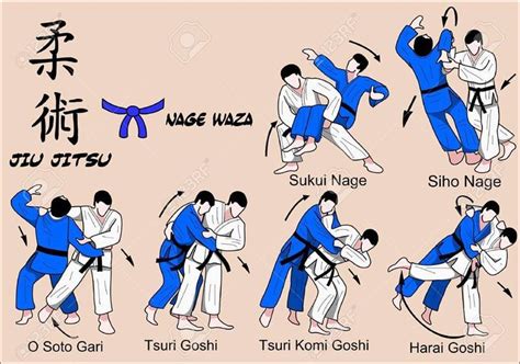 Pin by Ana Martins on Martial Art | Jiu jitsu techniques, Martial arts ...