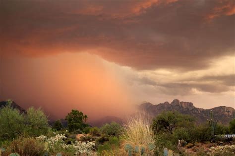 Monsoon Season in Arizona - Prepare - ASAP Restoration