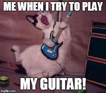 Guitar Cat - Imgflip