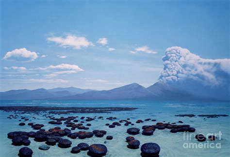 Precambrian Stromatolites Photograph by Chase Studio