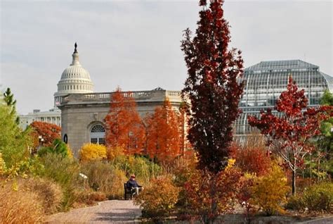 White House Garden Tour Washington DC – Garden Travel Guide