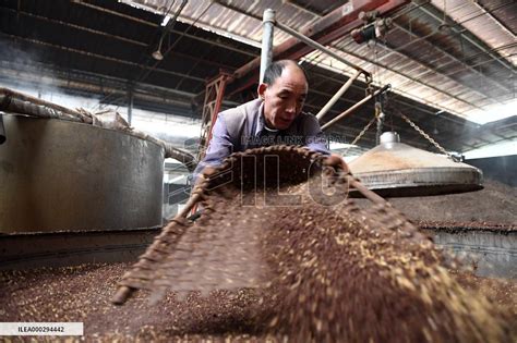 Liquor Making in Maotai Town | Imagelinkglobal ILG: Product: ILEA000294442｜Photos & Images ...