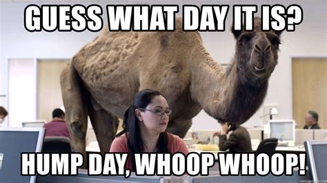 Humpday Memes To Help You Get Through Wednesday - Funny Gallery | eBaum's World