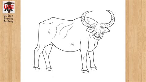 How to Draw a Buffalo Drawing Easy Outline | Step by Step Animal Sketch ...