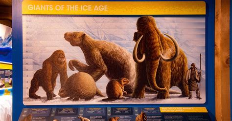 Why Were Ice Age Animals So Big? - Emmanuel Baptist Church