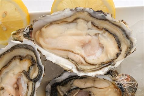 Our Oysters - Royale Namibian Seafood Company