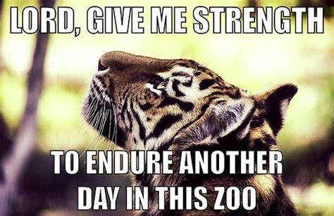 Meme: "Lord, give me strength to endure another day in this zoo." | Give me strength quotes ...