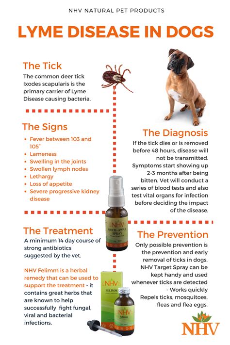 How Long Do Symptoms Of Tick Bite Fever Last - HOWTOEROMV