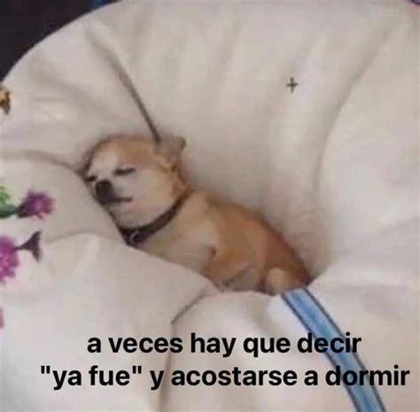 A veces hay que decir "ya fue" y acostarse a dormir. - Memes