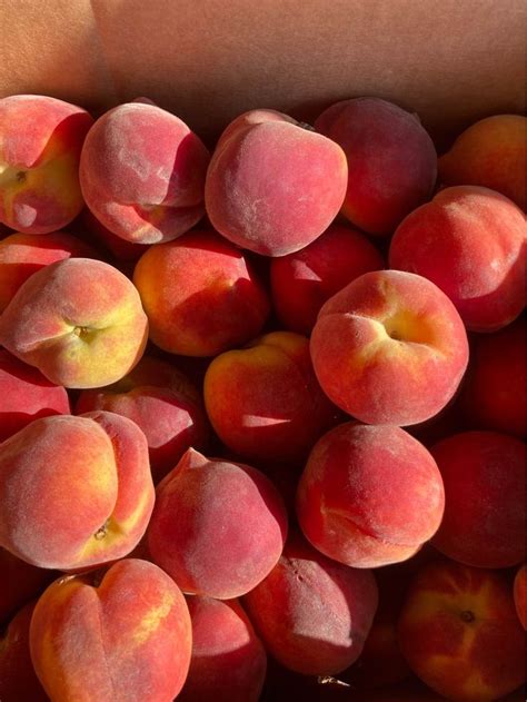 Fresh Peaches - Walburg Family Farms