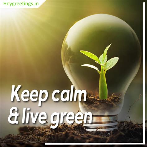 Save trees Slogans - Hey Greetings