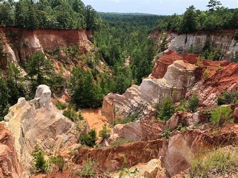 Providence Canyon In Georgia Is A Gorgeous Natural Wonder