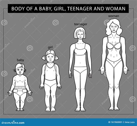 Stages of Growth from a Girl To a Woman Stock Vector - Illustration of ...