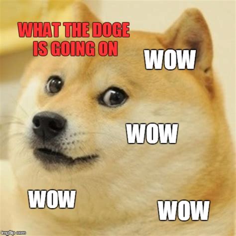 Doge Meme - Imgflip