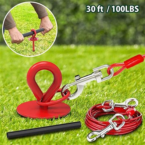 Amazon.com : 30 Ft Dog Tie Out Cable and Stake - Dog Yard Leash and ...