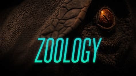 Zoology Wallpapers - Wallpaper Cave